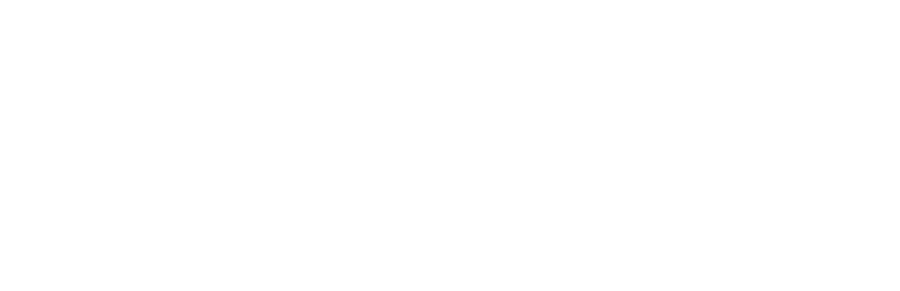 Vanguard Finanse